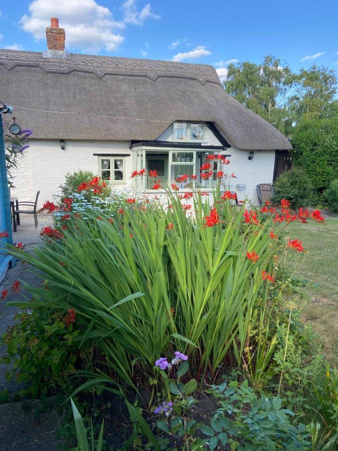 Thatch Cottage, East Boldre Nr Beaulieu And Lymington Brockenhurst Exterior photo